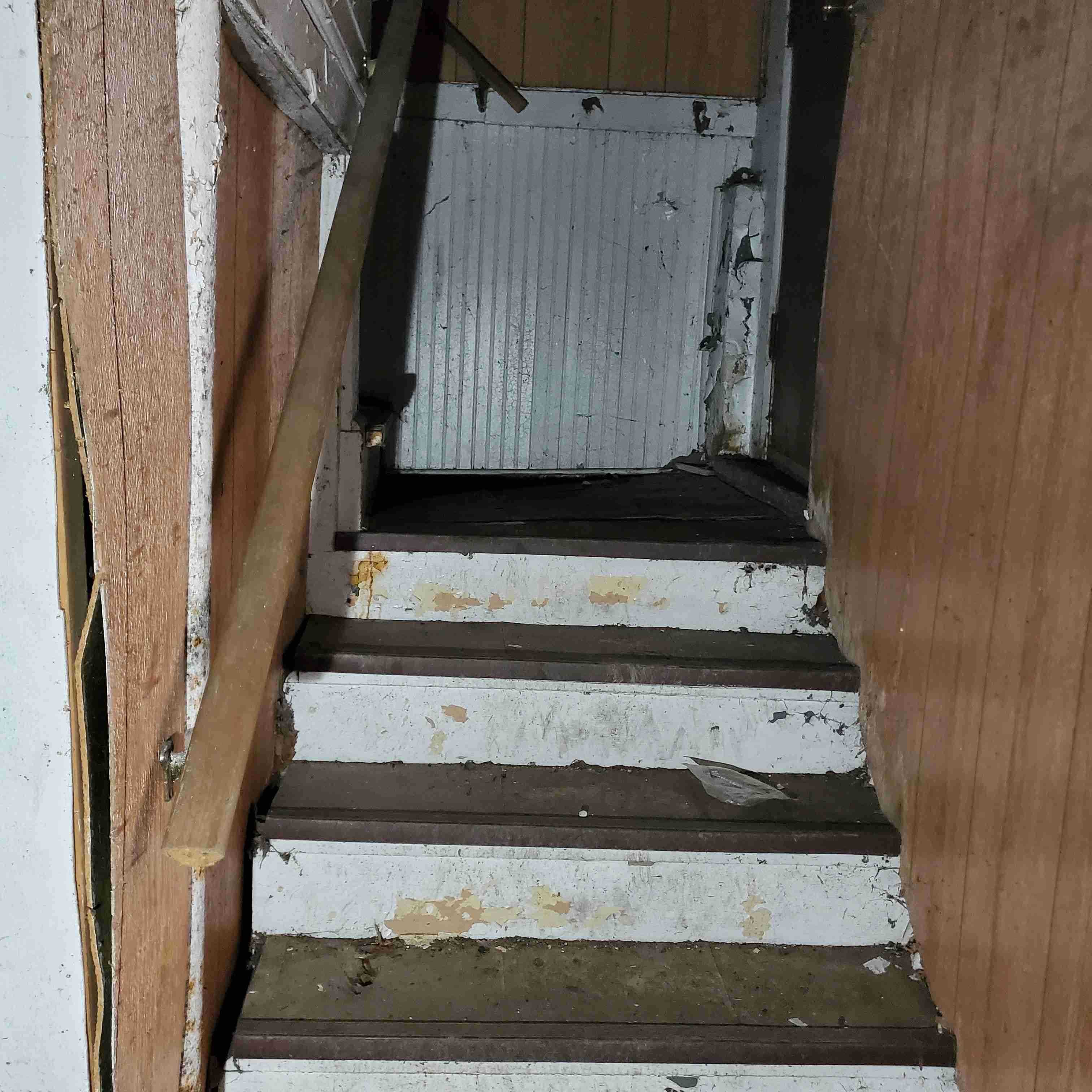 20200812_152344 (2).jpg